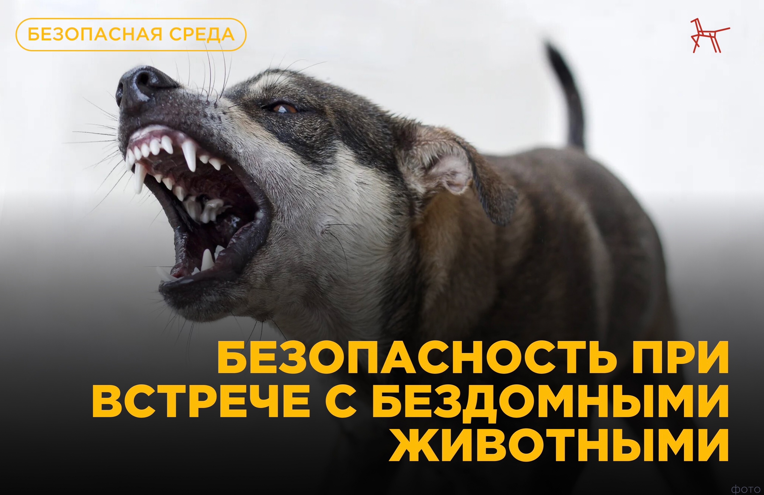 Безопасная помощь.