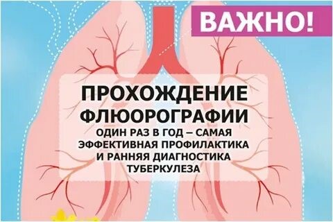 Туберкулёз и его профилактика.