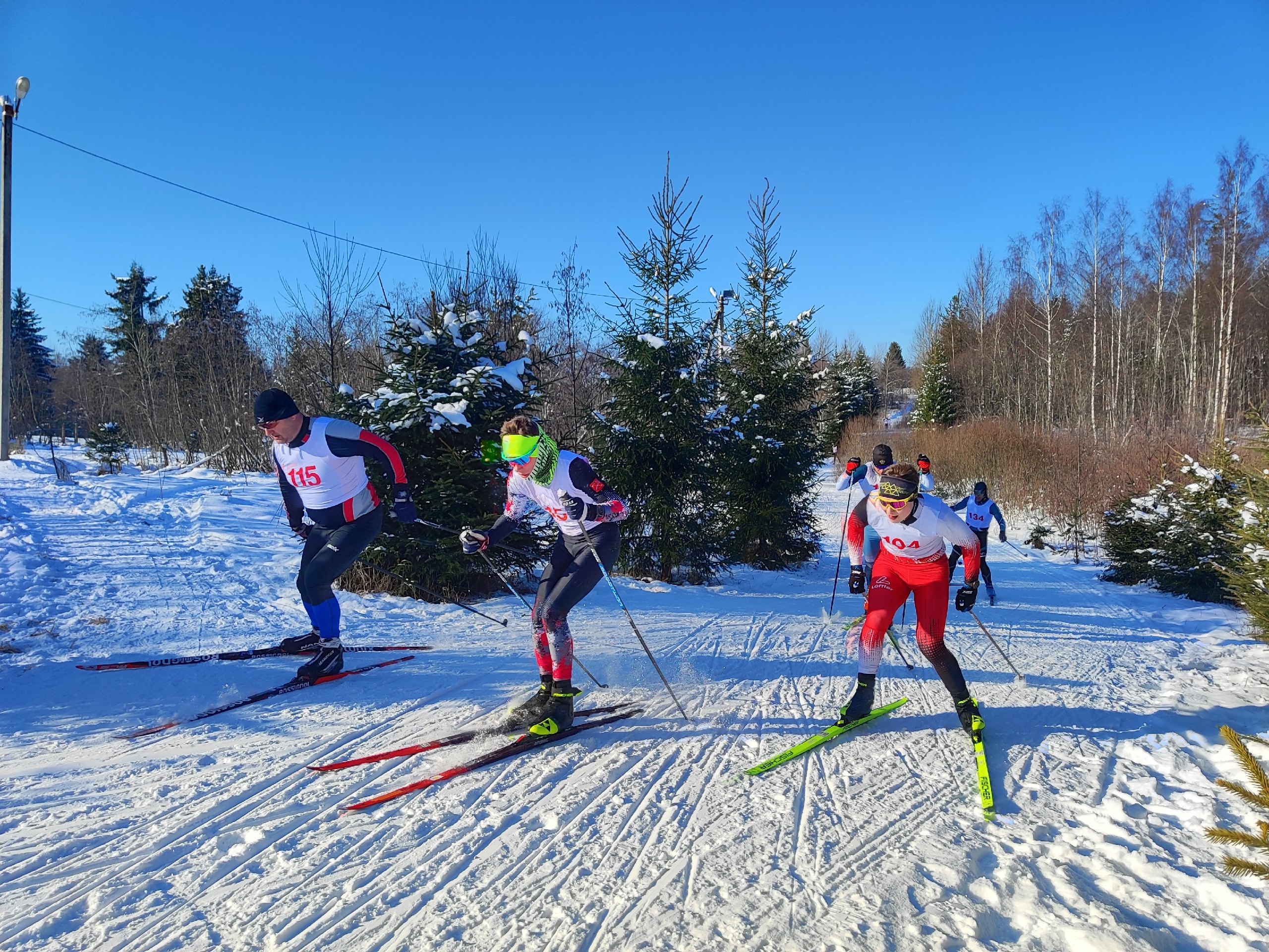 Чемпионат Новгородской области по лыжным гонкам.