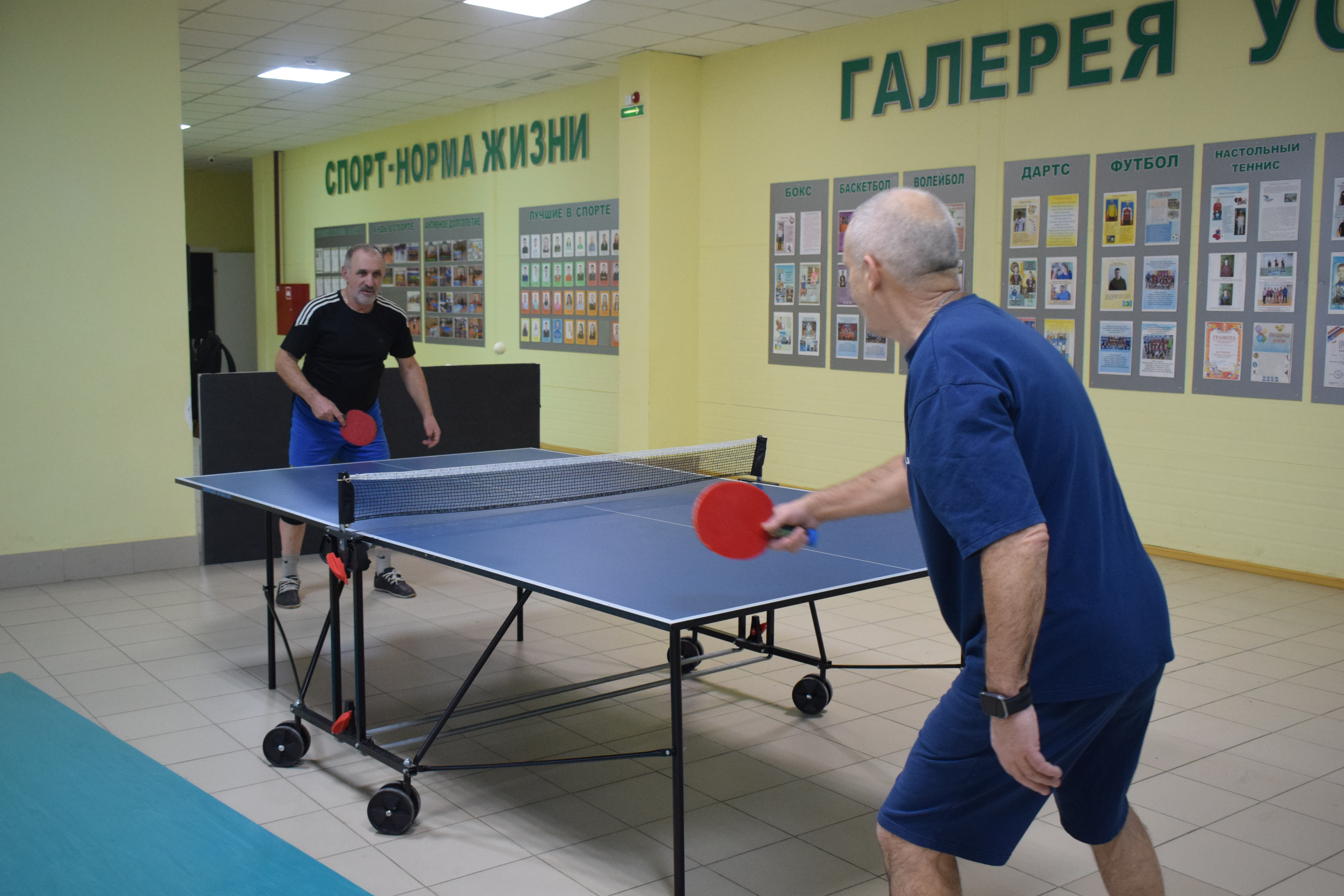 Тренировки по настольному теннису.