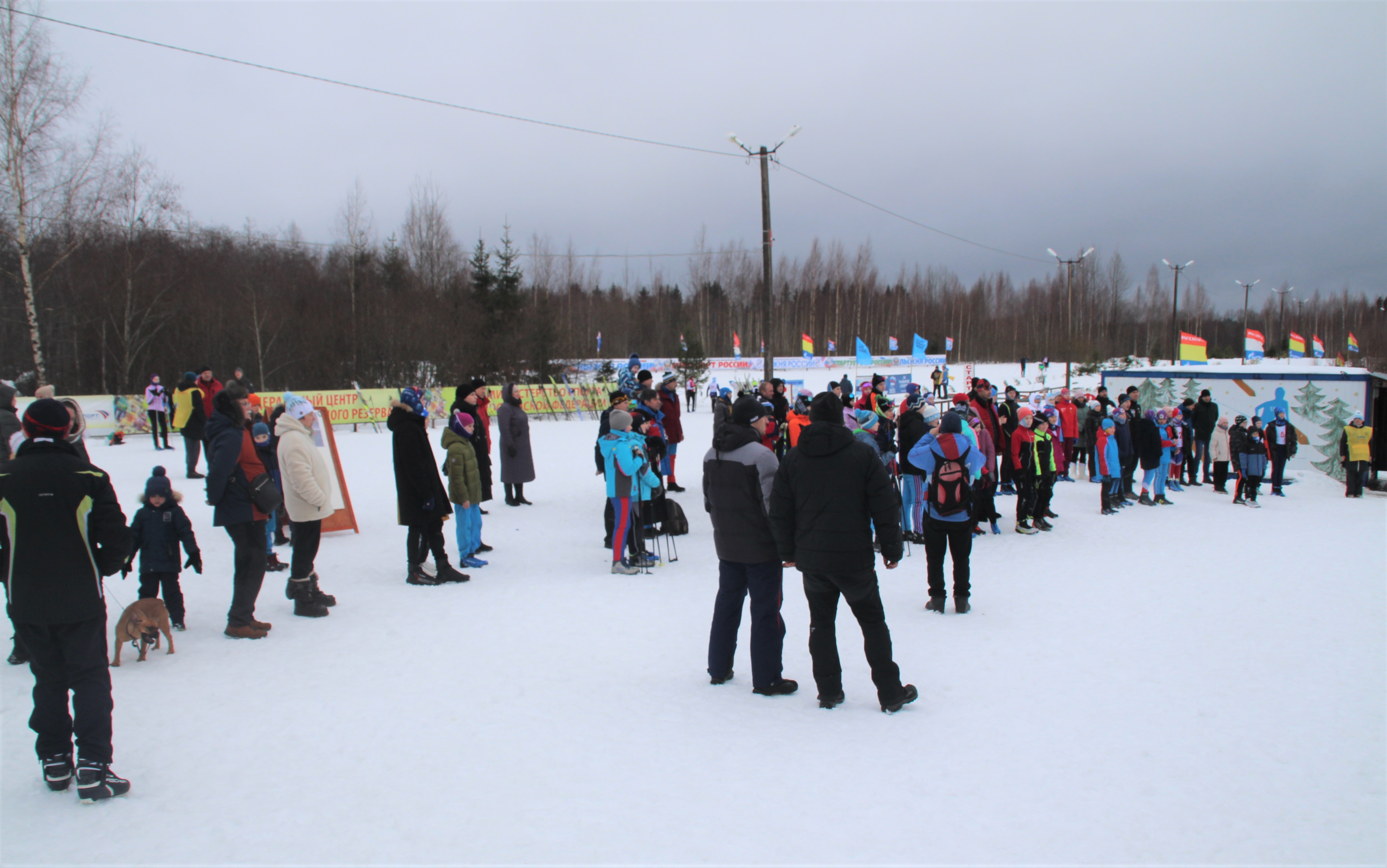 Первенство Новгородской области по лыжным гонкам.