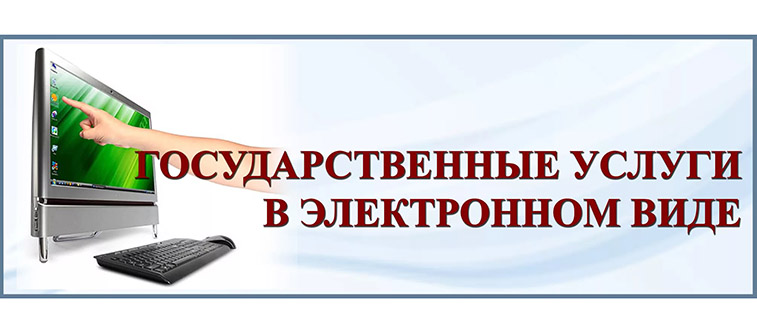 Государственные услуги в электронном виде.