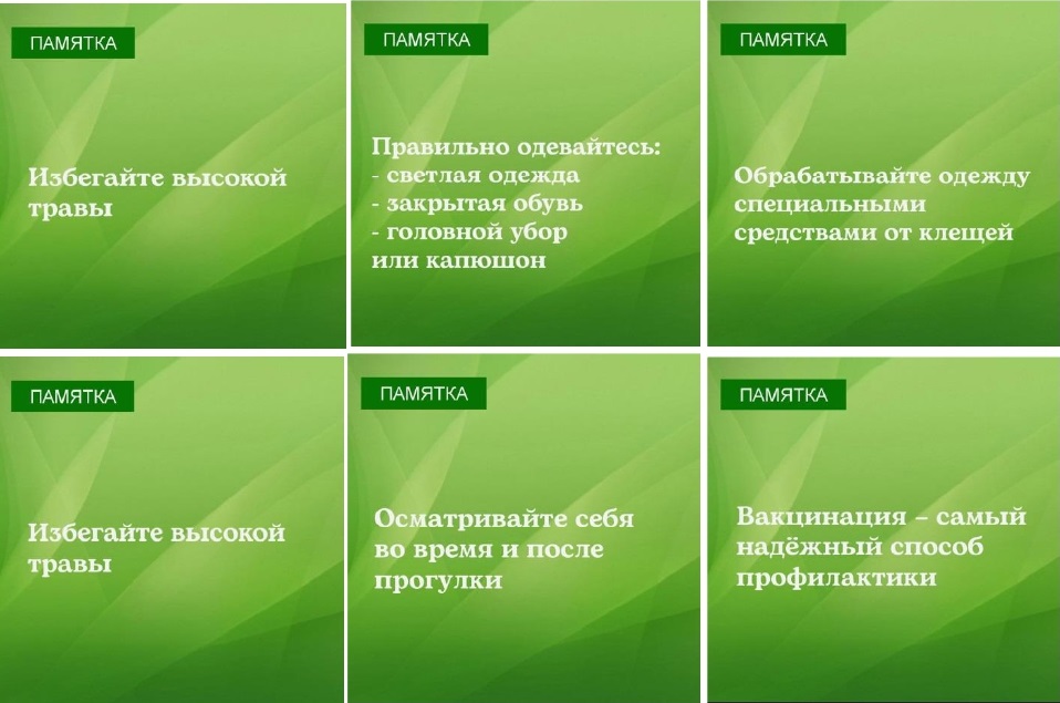 Лесные клещи.