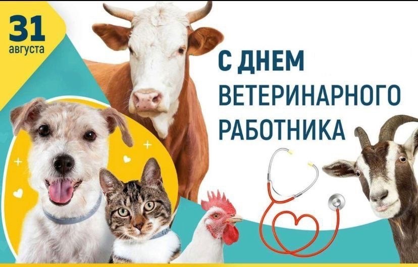 С Днём ветеринарного работника!.