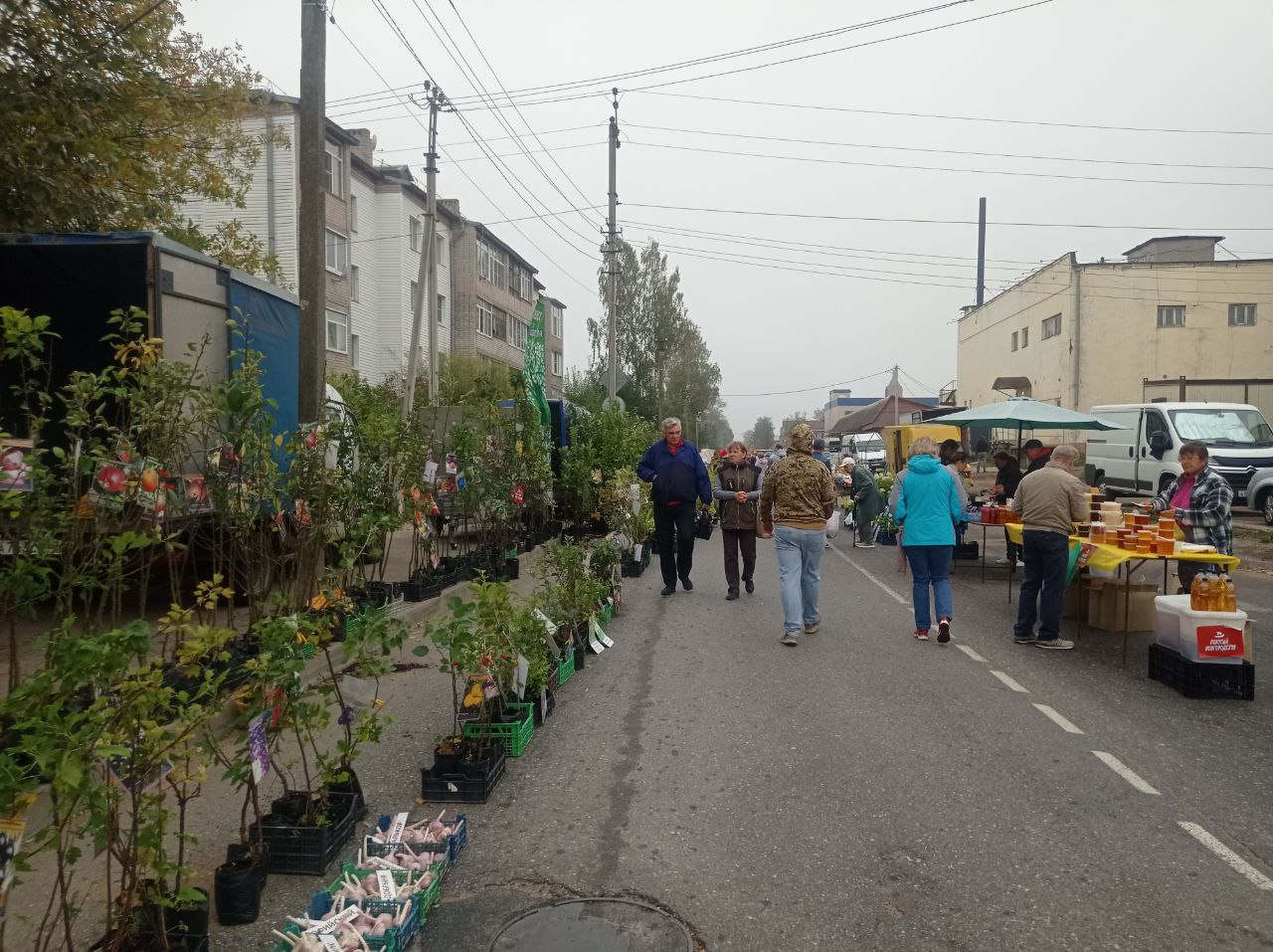 Богородицкая ярмарка - урожай  - 2024.