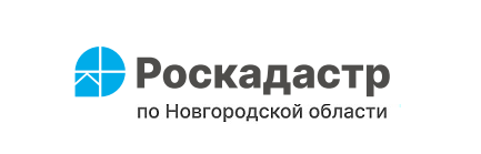 Филиал ППК «Роскадастр» по Новгородской области информирует о проведении горячей линии 10 октября 2024 года.