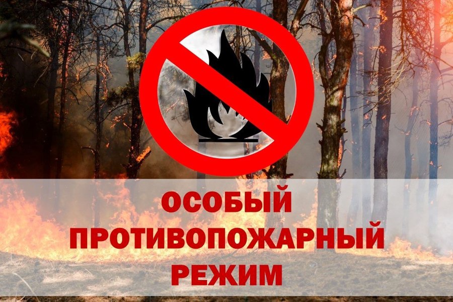 «Об установлении особого противопожарного режима на территории Окуловского городского поселения».