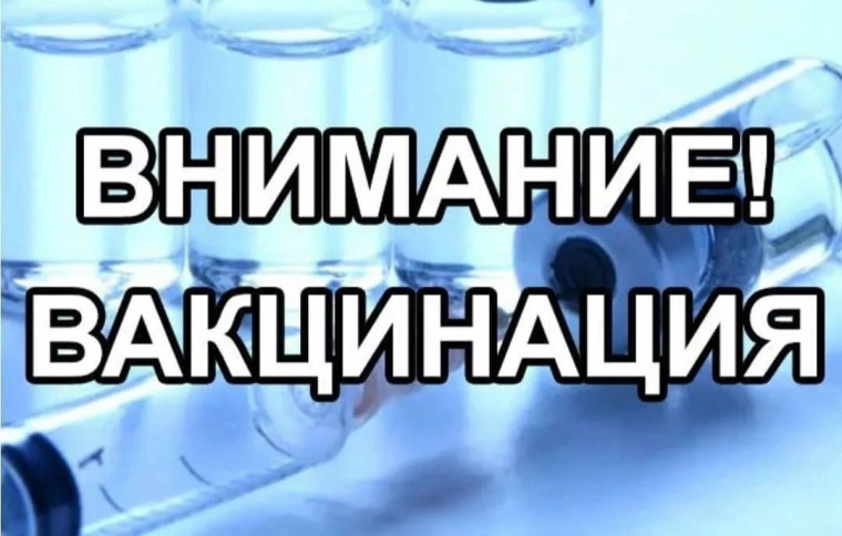 Внимание вакцинация!. Внимание вакцинация!.