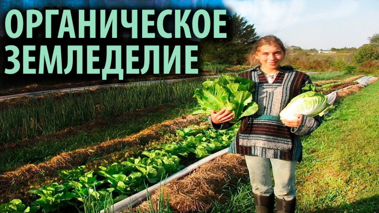 Марафон органического земледелия. Марафон органического земледелия.
