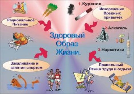 Здоровый образ жизни. Здоровый образ жизни.