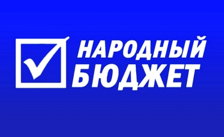 Народный бюджет. Народный бюджет.