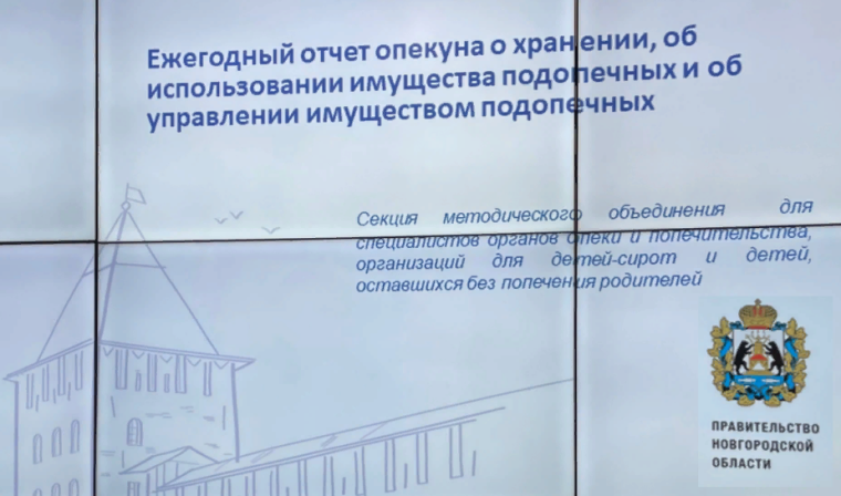 Методическое объединение для специалистов органов опеки и попечительства. Методическое объединение для специалистов органов опеки и попечительства.