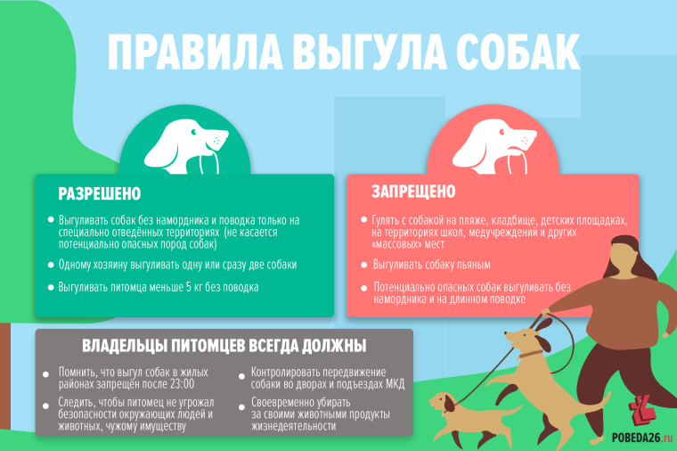 Самовыгул собак. Самовыгул собак.