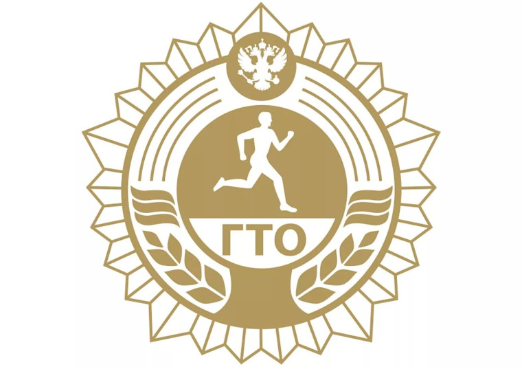 Стипендия за золотой знак отличия ВФСК ГТО. Стипендия за золотой знак отличия ВФСК ГТО.