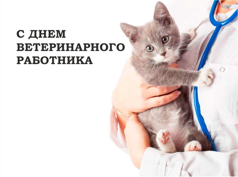 С Днём ветеринарного работника. С Днём ветеринарного работника.