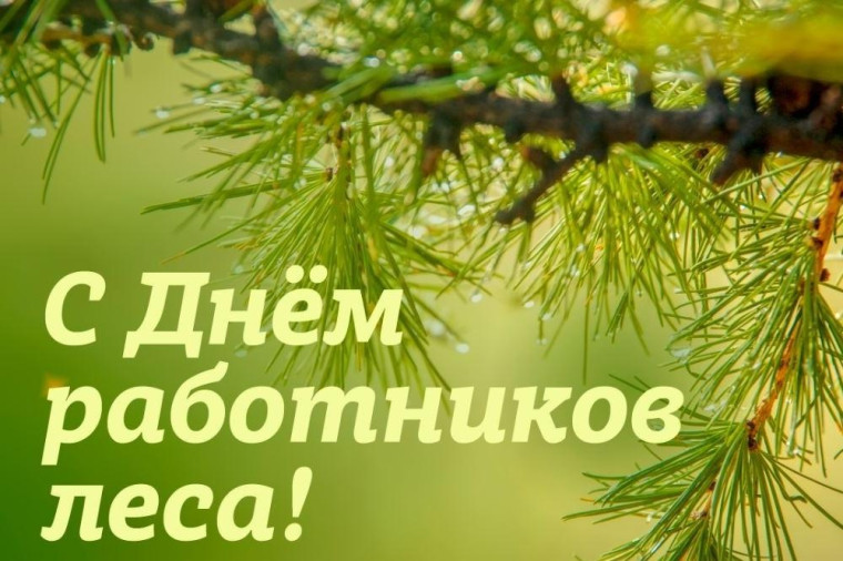 С профессиональным праздником – Днём работников леса! . С профессиональным праздником – Днём работников леса! .