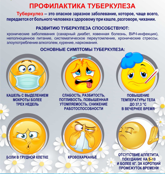 Профилактика туберкулеза. Профилактика туберкулеза.
